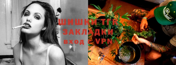 дмт Аркадак