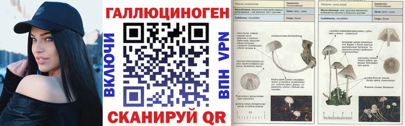 Псилоцибиновые грибы ЛСД  дарнет шоп  Исилькуль 